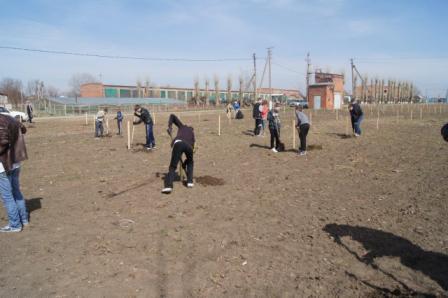 В рамках Всекубанского двухмесячного субботника...